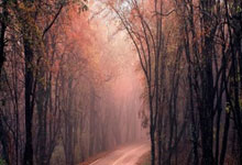 旺财28：国际篮联三人篮球冠军杯 ｜ 中国女队无缘小组出线.