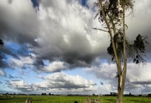 [英超]第27轮：切尔西VS南安普顿.