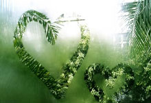 21家广州队球迷协会发布联合公开信 呼吁启动申诉.