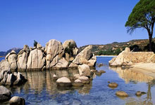 旺财28：76人三巨头正式出局！险胜公牛，独行侠你要毁了太阳队吗？.